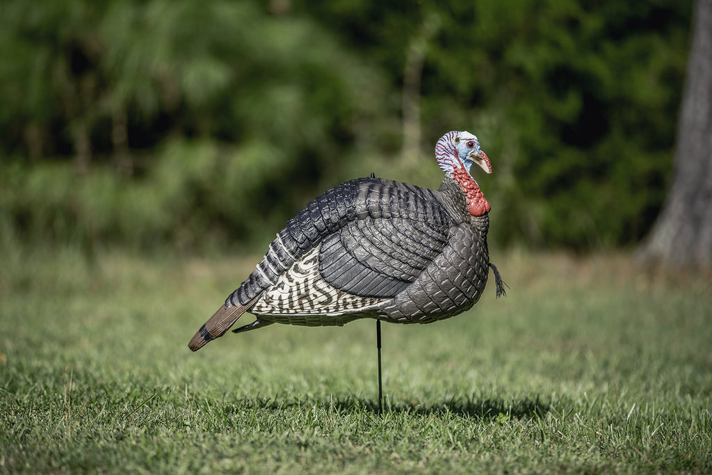 Hunters Specialties Hs Strut Lite Jake Gobbler Turkey Foldable Hollow Body Realistic Decoy,Brown