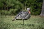 Hunters Specialties Hs Strut Lite Jake Gobbler Turkey Foldable Hollow Body Realistic Decoy,Brown