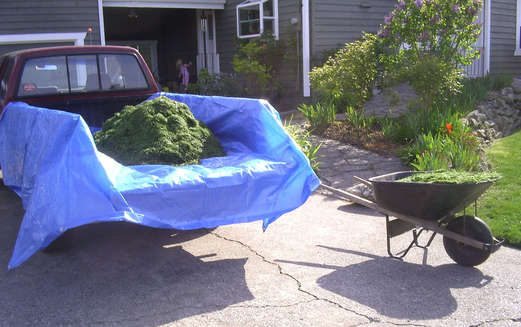 Tarp Blue 16'X20' (Pack Of 1)