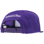 Team Ground 20 Snapback Hwc Toronto Raptors