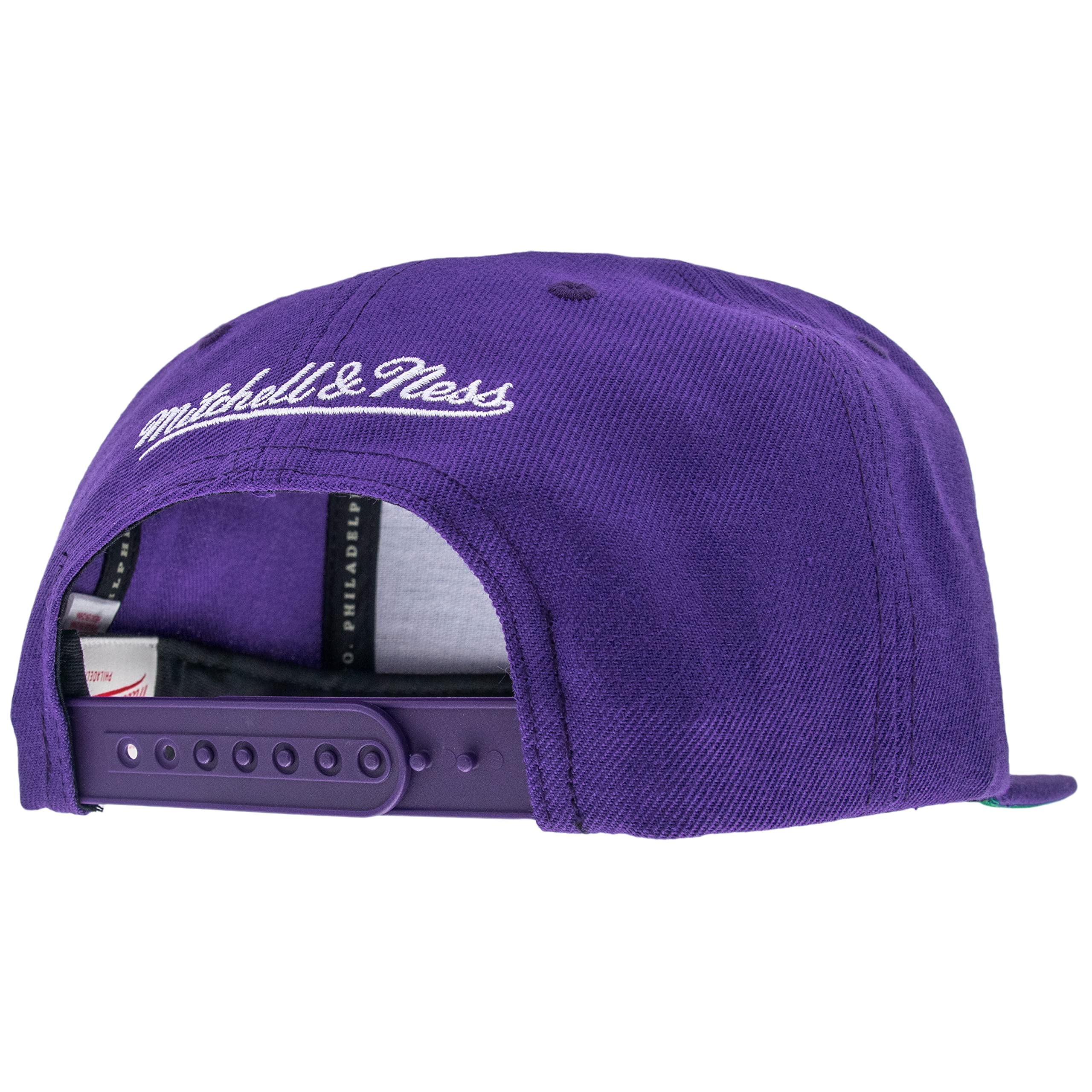 Team Ground 20 Snapback Hwc Toronto Raptors