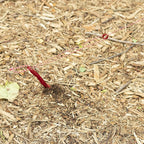 Msr Tent Guyline Kit, 8-Foot