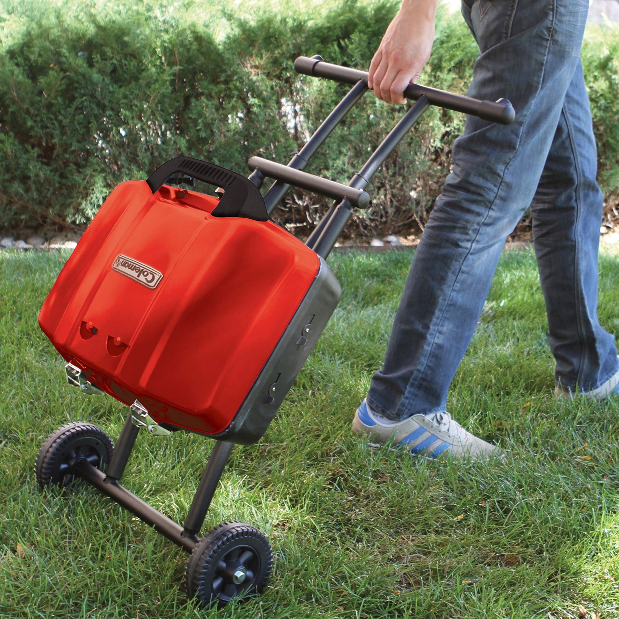 Coleman Gas Grill  Portable Propane Grill  Sportster Grill