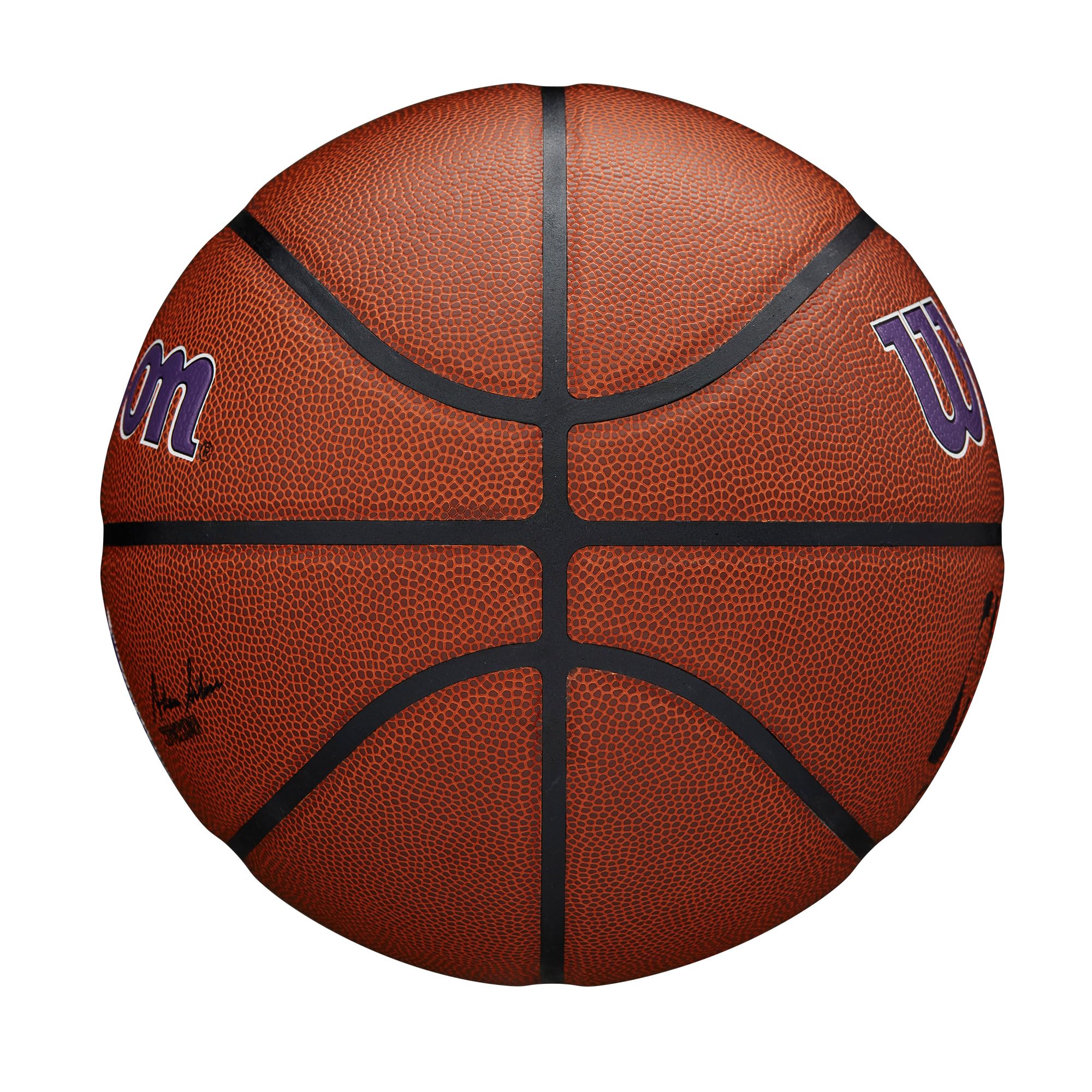 Wilson Nba Team Alliance Basketball - Sacramento Kings, Size 7-29.5''