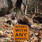 Dogbone Bloodtrail Scent For Tracking Dog Training | Dog Training Kit | Hunting Dog Accessories | Dog Scent Training Kit | Deer