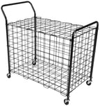 Bsn Standard Portable Ball Locker, Black