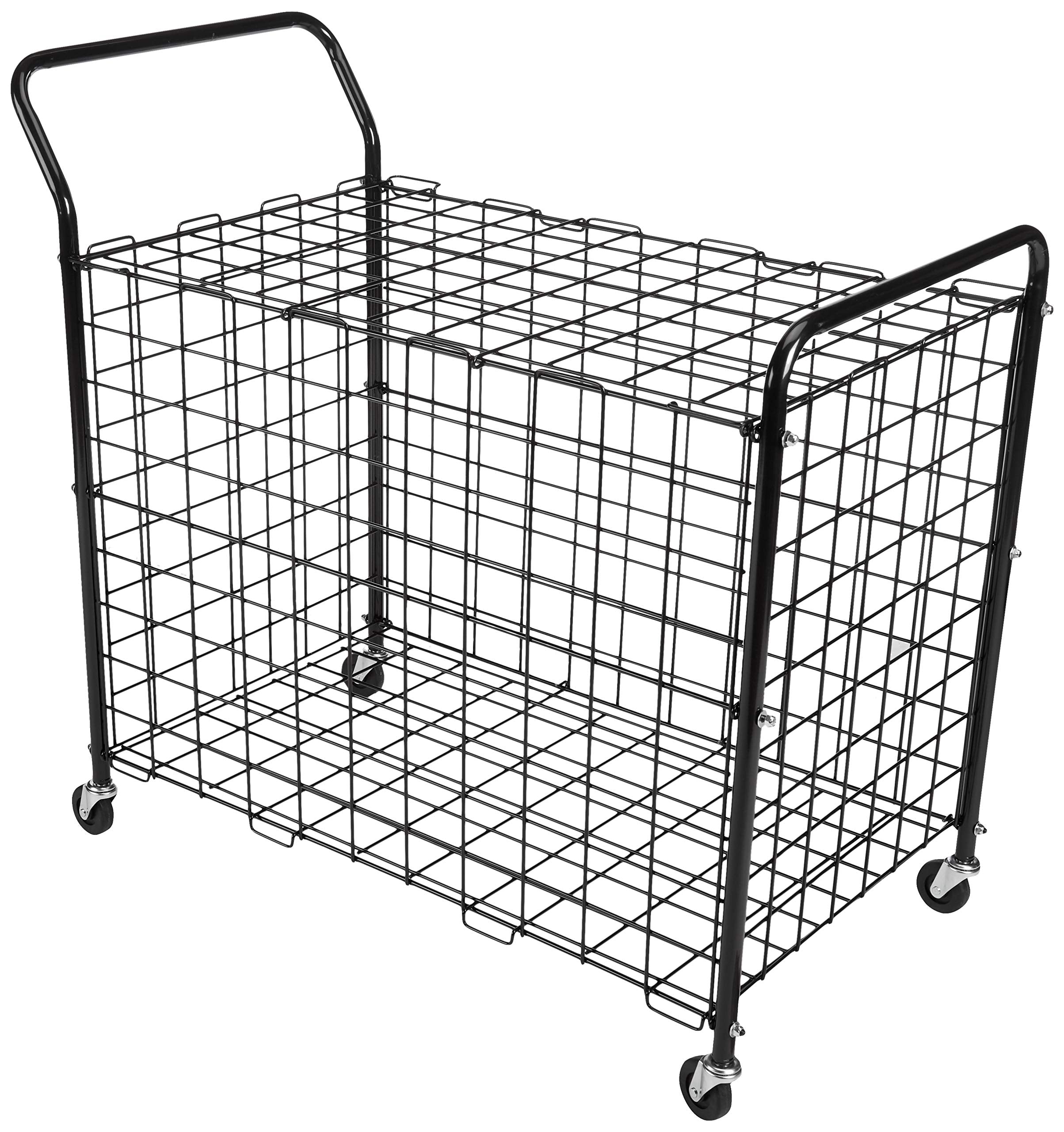Bsn Standard Portable Ball Locker, Black