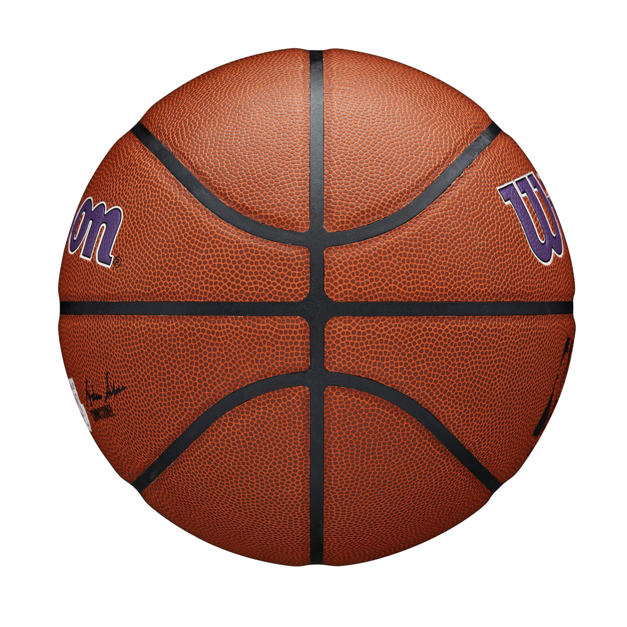 Wilson Nba Team Alliance Basketball - Los Angeles Lakers, Size 7-29.5''