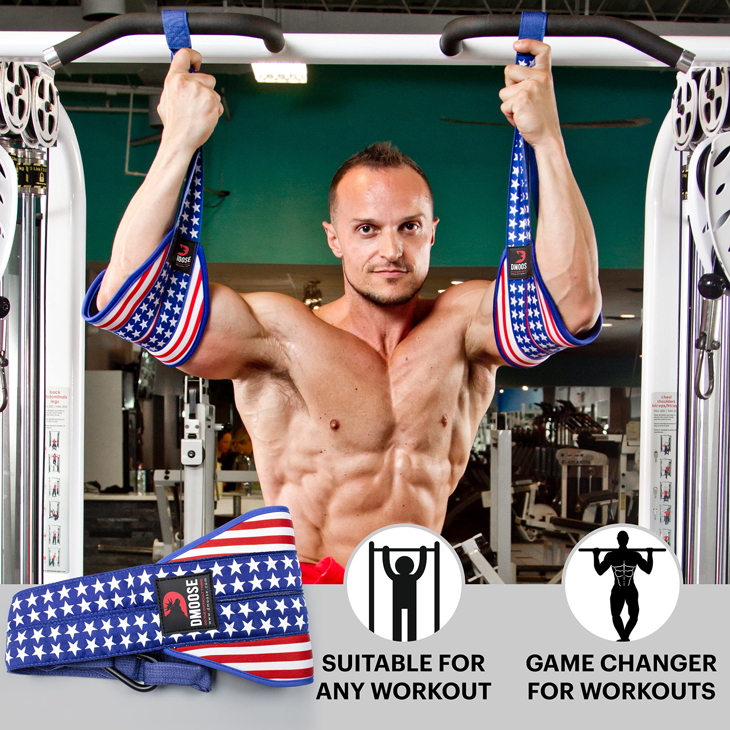Dmoose Ab Straps For Abdominal Muscle Building, Arm Support For Ab Workout, Hanging Ab Straps For Pull Up Bar Attachment, Ab Exe
