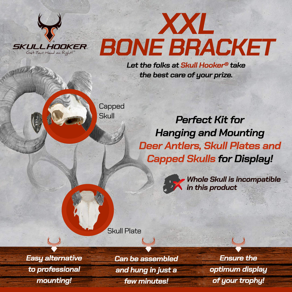 Skull Hooker Powder-Coated Steel Xxl Bone Bracket - Designed To Accommodate The Skull Plates Of Antlered And Horned Species Such