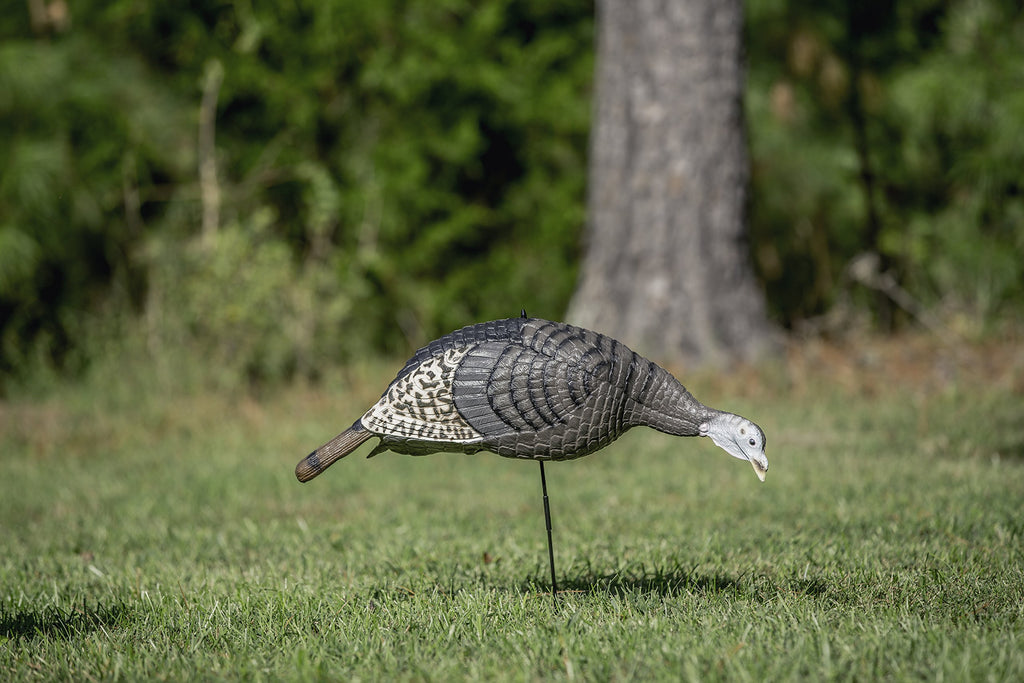 Hunters Specialties Hs Strut Lite Feeding Hen Turkey Foldable Hollow Relaxed Body Realistic Decoy