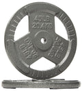 Fitvids Cast Iron Plate Weight Plate for Strength Training and Weightlifting, 1-Inch Center, 45LB (Set of 2)