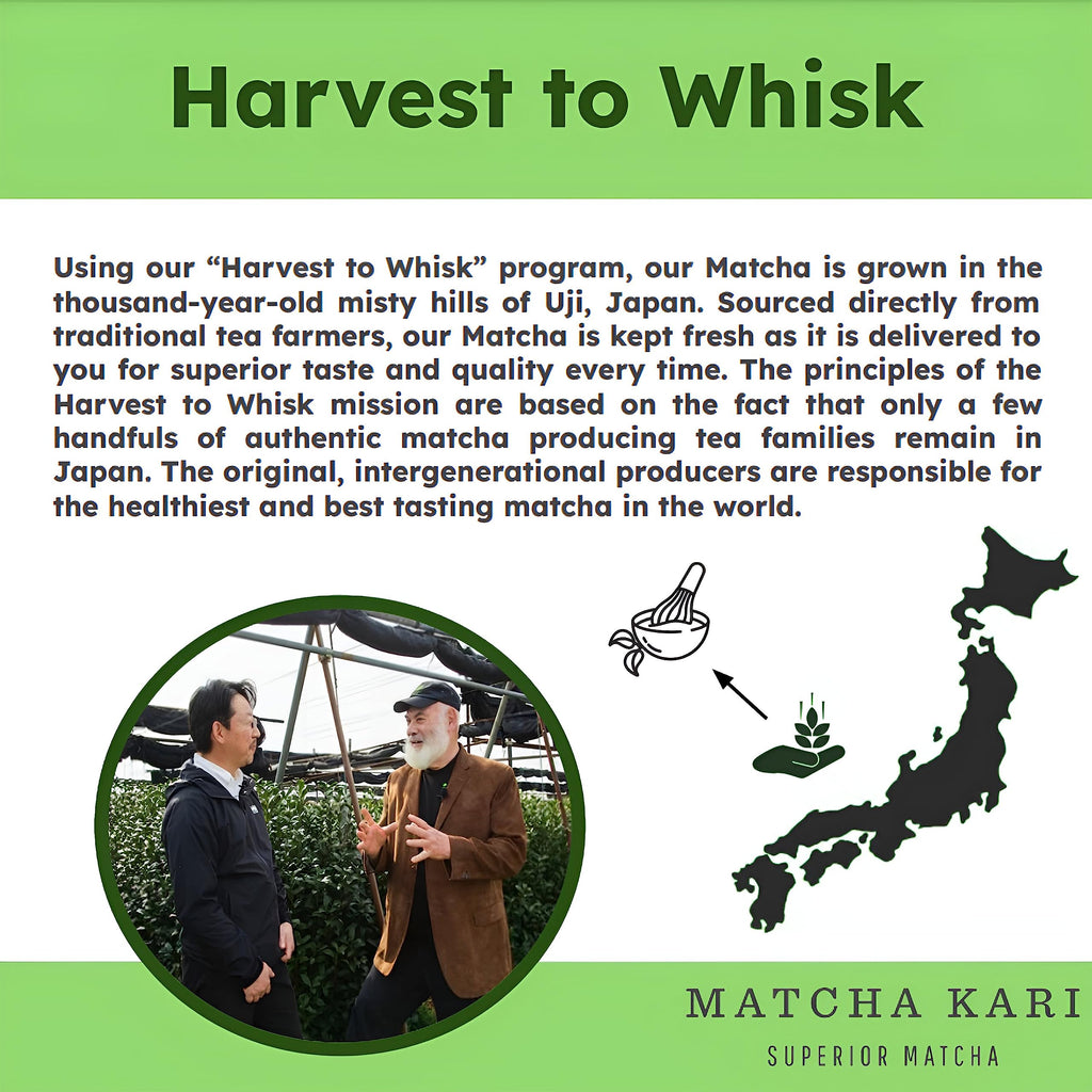 Dr Weil Matcha Kari Superior Japanese Matcha Green Tea Sticks - Organic Ceremonial Grade Powder Single Serve Packets - 15 Gram I