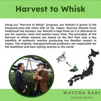 Dr Weil Matcha Kari Superior Japanese Matcha Green Tea Sticks - Organic Ceremonial Grade Powder Single Serve Packets - 15 Gram I