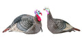 Hunters Specialties Hs Strut Lite Jake & Feeding Hen Turkey Foldable Hollow Relaxed Body Realistic 2-Pack Couple Flock Combo Dec
