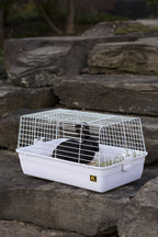 Prevue Pet Products Carina Animal Tubby, Small, White (Sp526W)