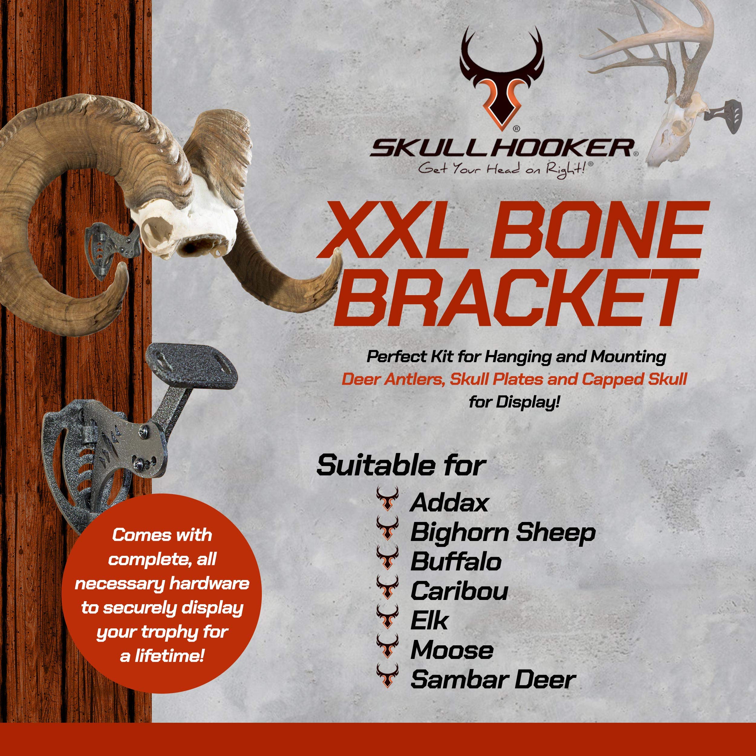 Skull Hooker Powder-Coated Steel Xxl Bone Bracket - Designed To Accommodate The Skull Plates Of Antlered And Horned Species Such