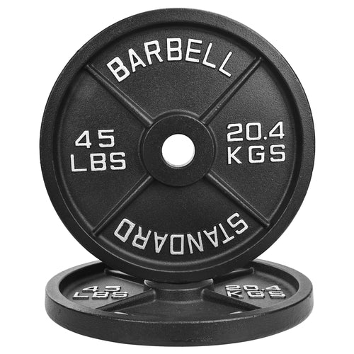 ?45LB Pair?2 Cast Iron Weight Plates | (2 x 45LB) Black Plates with Silver Numbers | For Standard Barbell Bars & Home Gyms