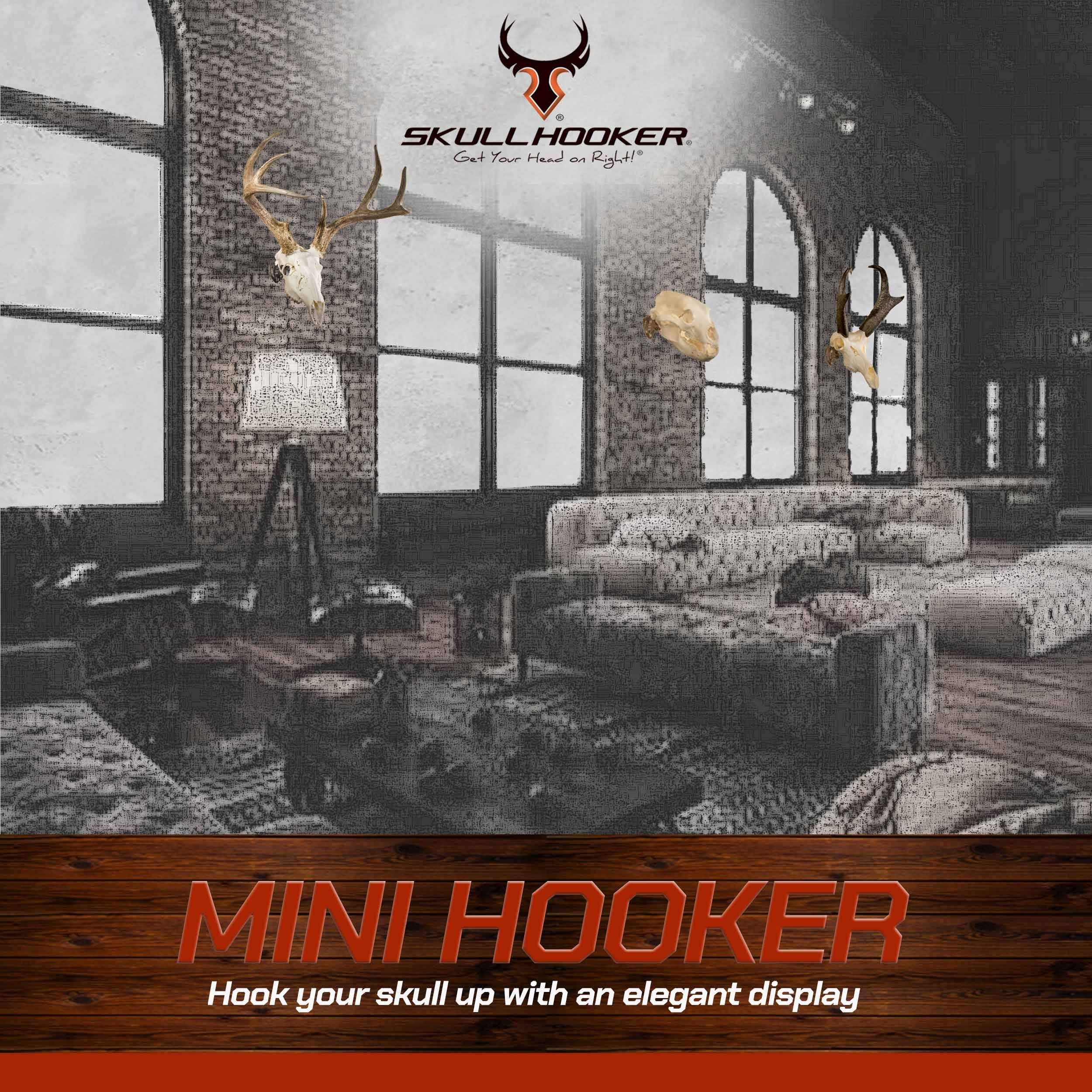 Skull Hooker Mini Hooker Skull Hanger - Perfect Kit For Hanging And Mounting Taxidermy Bear, Small Deer, Pronghorn, And Other Sm