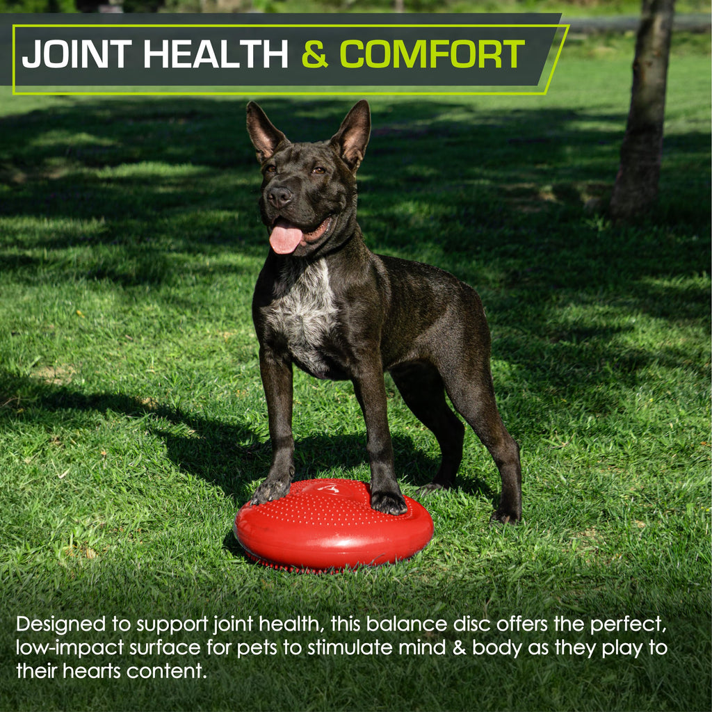 Prosourcefit Core Balance Disc Trainer, 14 Diameter With Pump For Improving Posture, Fitness, Stability, Red