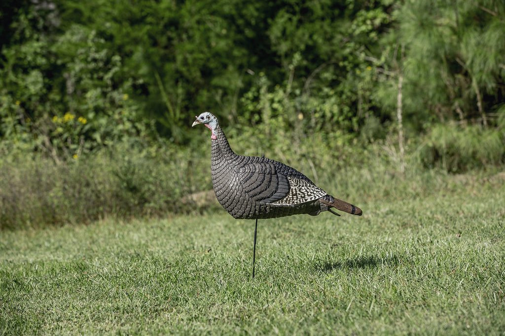 Hunters Specialties 100001 Strut-Lite Hen Decoy,Brown