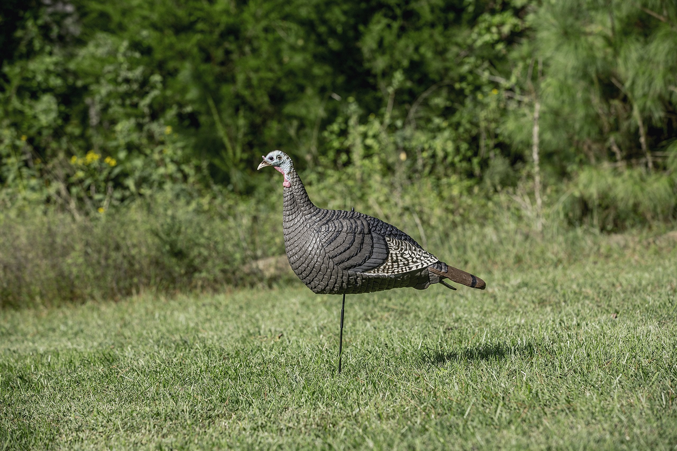 Hunters Specialties 100001 Strut-Lite Hen Decoy,Brown