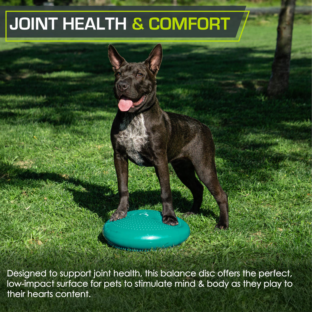 Prosourcefit Core Balance Disc Trainer, 14 Diameter With Pump For Improving Posture, Fitness, Stability, Green