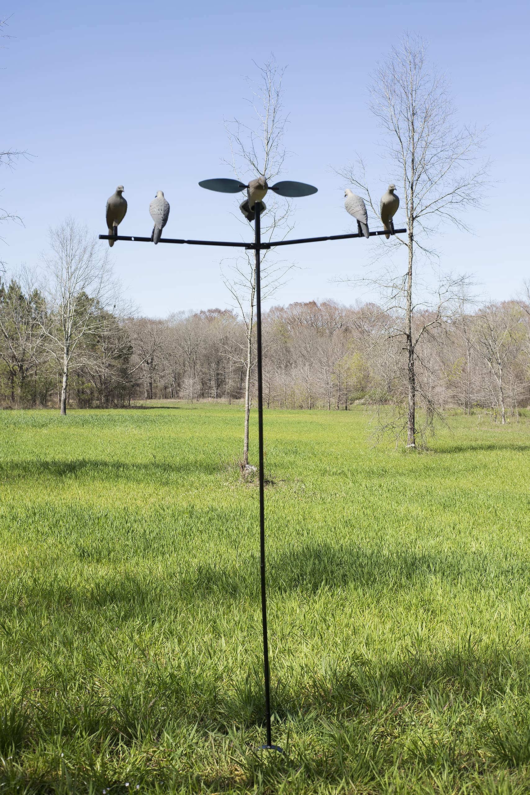 Mojo Outdoors Clip On Dove Grey Decoys, Dove Hunting Gear And Accessories, Set Of 4, One Size