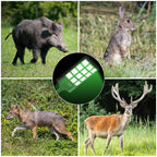 Hog Light For Night Hunting,18000Lm Powered Feeder Light(Green) Solar Lights For Hunting Hogs, Coyote, Varmint, Deer, Motion Act