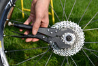 Pedro'S Vise Whip