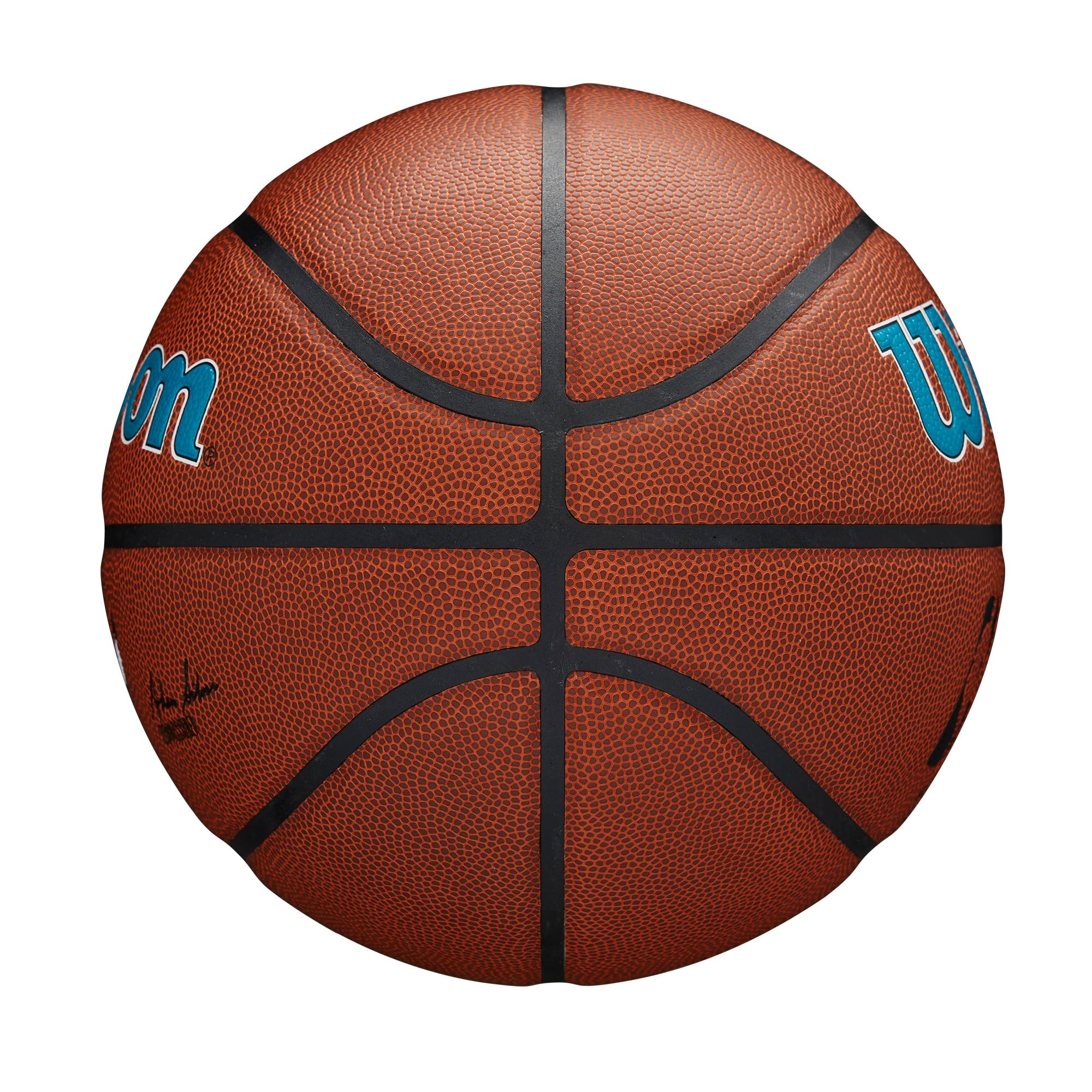 Wilson Nba Team Alliance Basketball - Charlotte Hornets, Size 7-29.5''