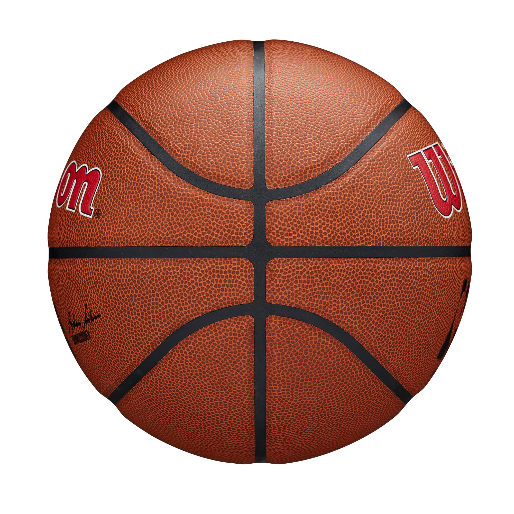 Wilson Nba Team Alliance Basketball - Toronto Raptors, Size 7-29.5''