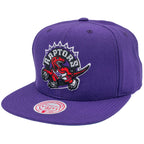 Team Ground 20 Snapback Hwc Toronto Raptors