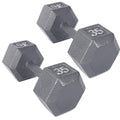 CAP Barbell 35 LB Cast Iron Hex Dumbbell Hand Weight - Pair | Grey