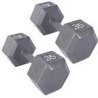 CAP Barbell 35 LB Cast Iron Hex Dumbbell Hand Weight - Pair | Grey