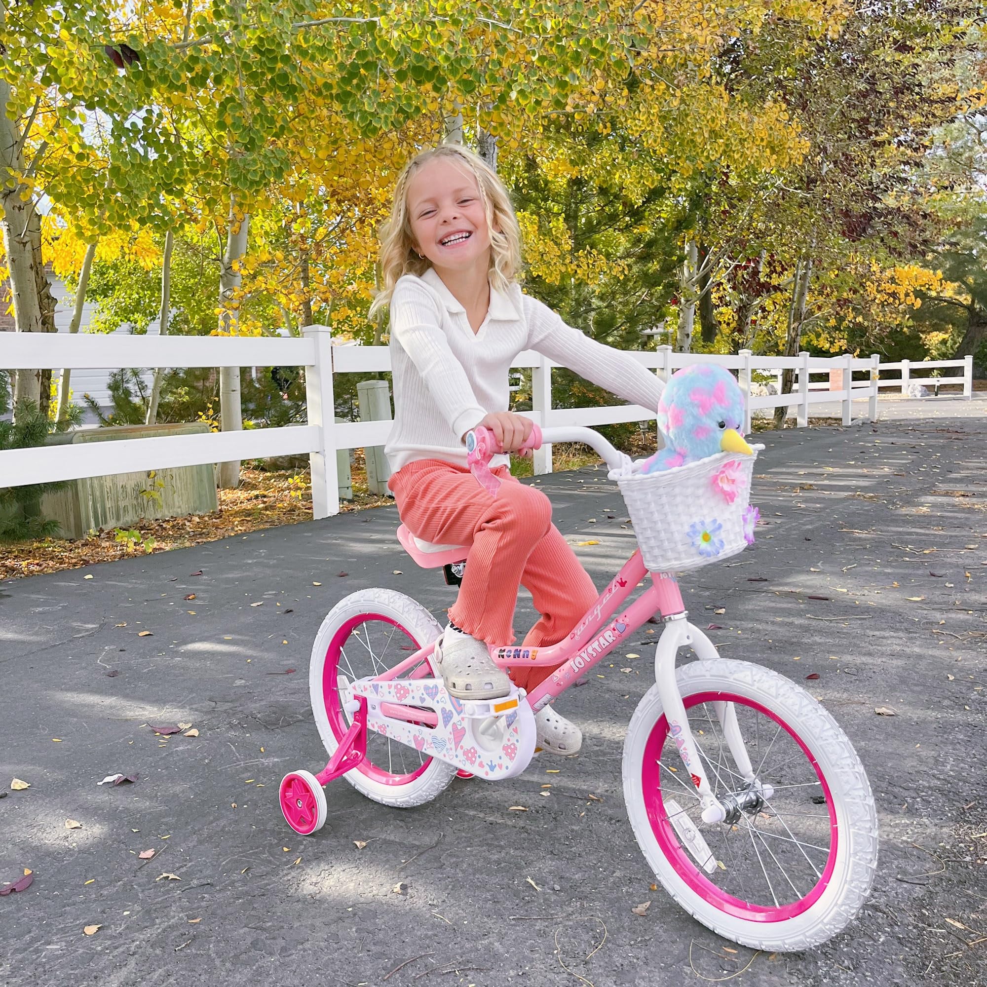 Joystar 14 Inch Girls Bike For 3 4 5 Years Old Girl 14'' Kids Bikes With Training Wheels And Basket Children'S Bicycle In Pink