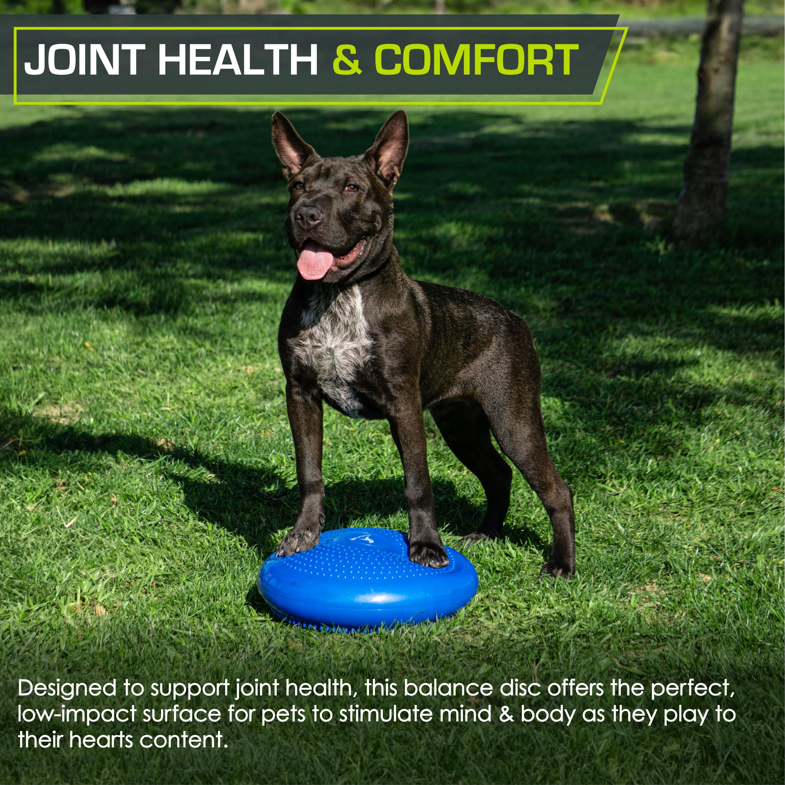 ProsourceFit Core Balance Disc Trainer, 14    Diameter with Pump for Improving Posture, Fitness, Stability, Blue