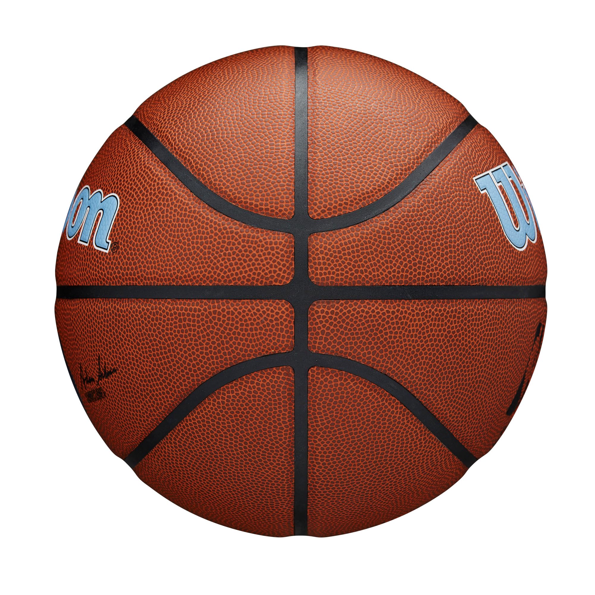 Wilson Nba Team Alliance Basketball - Memphis Grizzlies, Size 7-29.5''