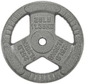 Hulkfit 1-Inch Iron Plate For Strength Training, Weightlifting, Single (25 Pounds), Silver