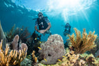 Scubapro Mk11/C370 Diving Regulator System