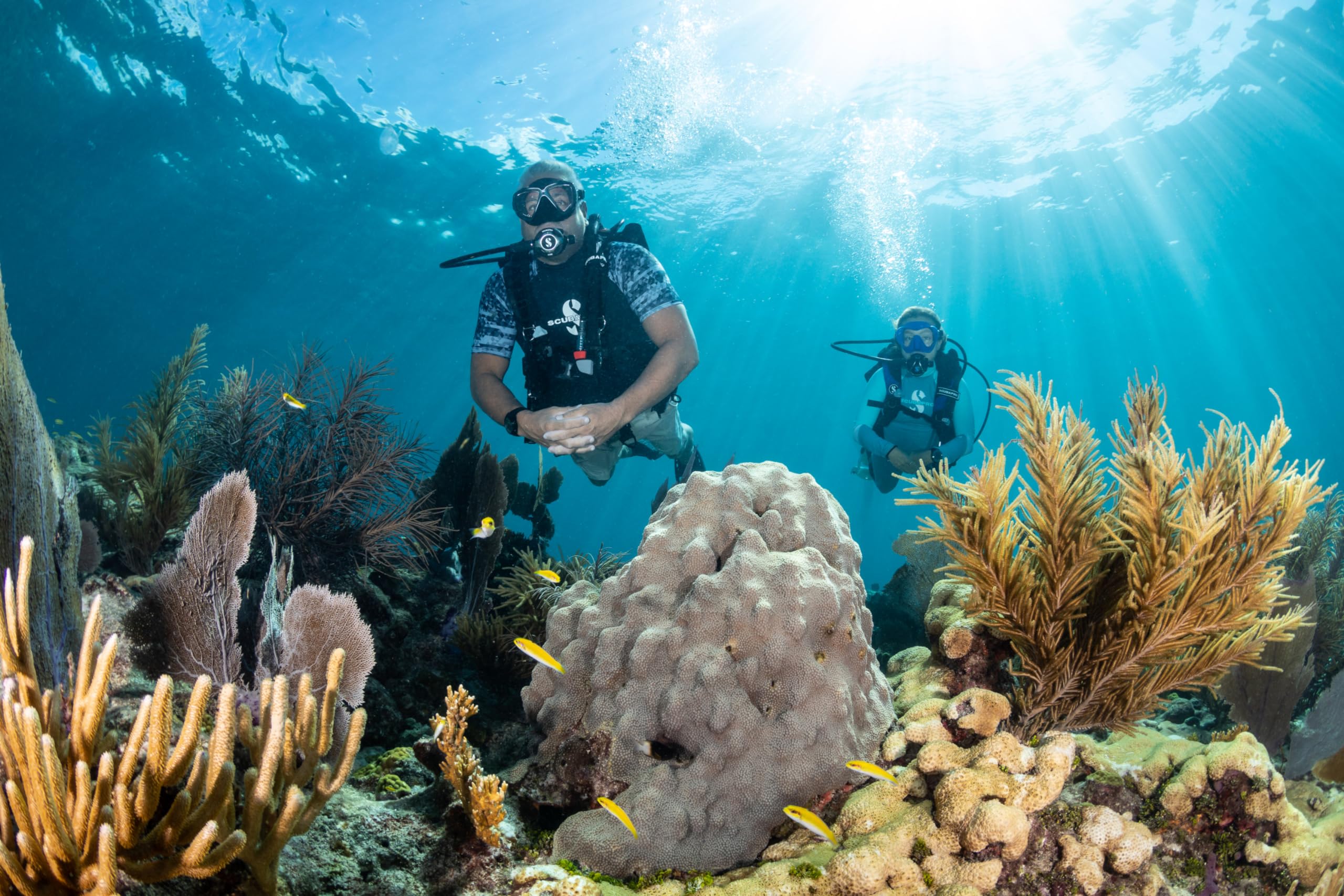 Scubapro Mk11/C370 Diving Regulator System