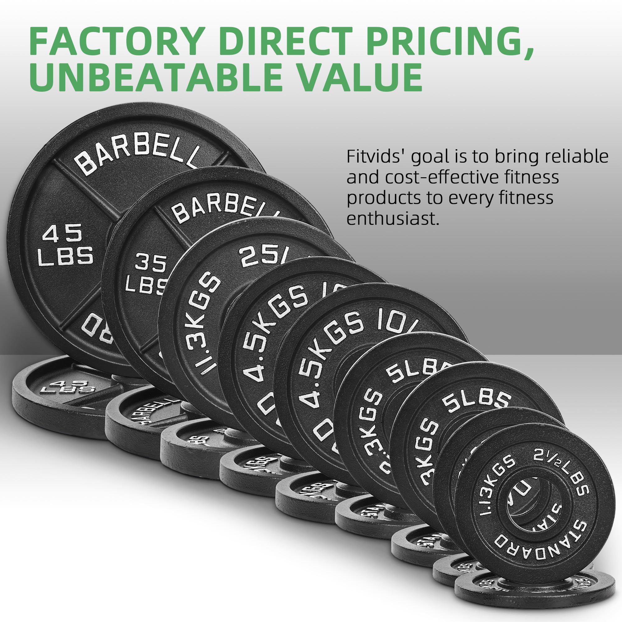 Fitvids Olympic Cast Iron 2-Inch Weight Plate for Strength Training & Weightlifting, Multiple Weights Available, 45LB (Pair)