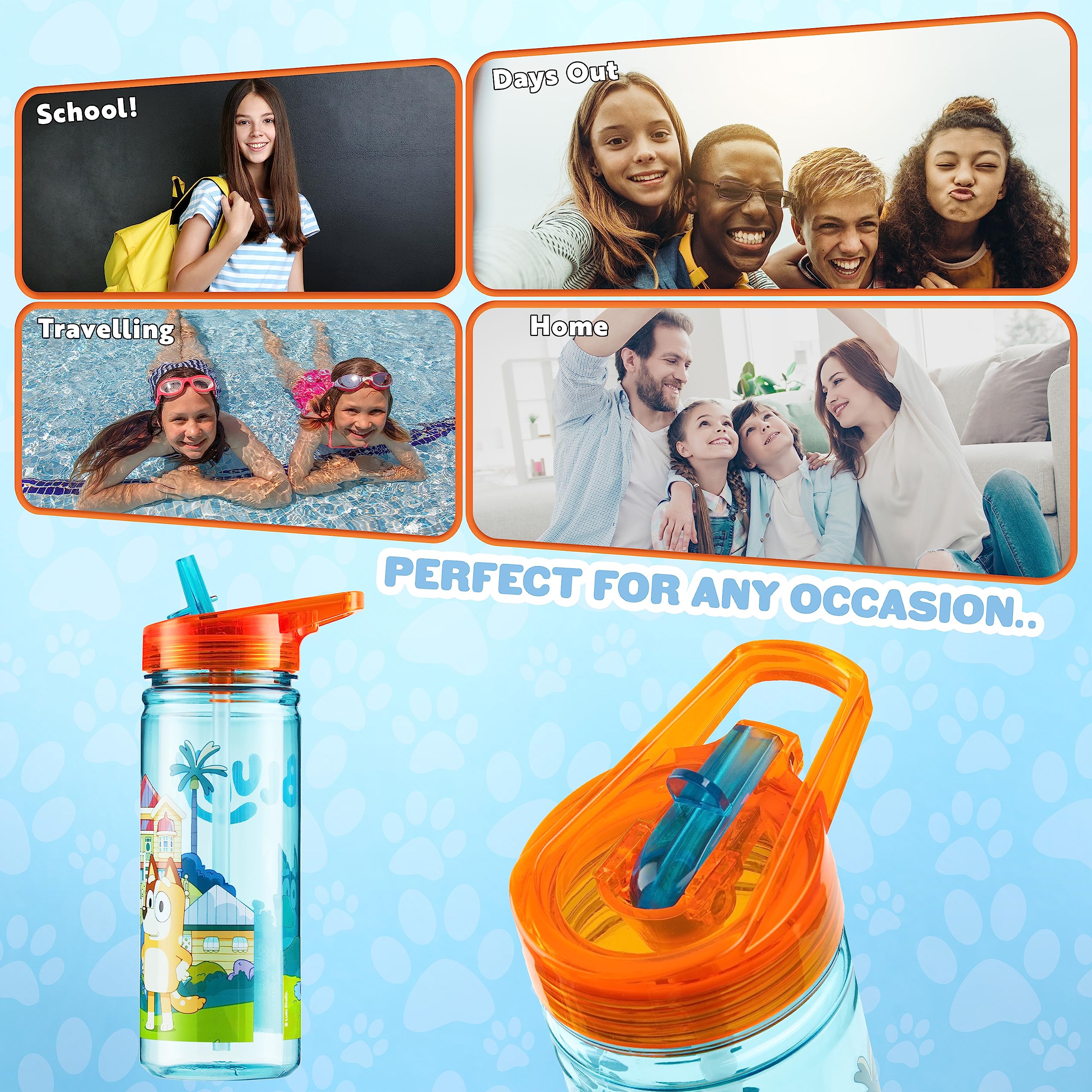 Bluey 560Ml/580Ml Plastic Water Bottle With Straw, Bpa Free, 3D Travel Reusable Bottle, Perfect For Nursery, Preschool, Sports,