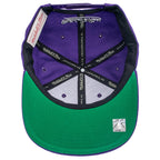 Team Ground 20 Snapback Hwc Toronto Raptors