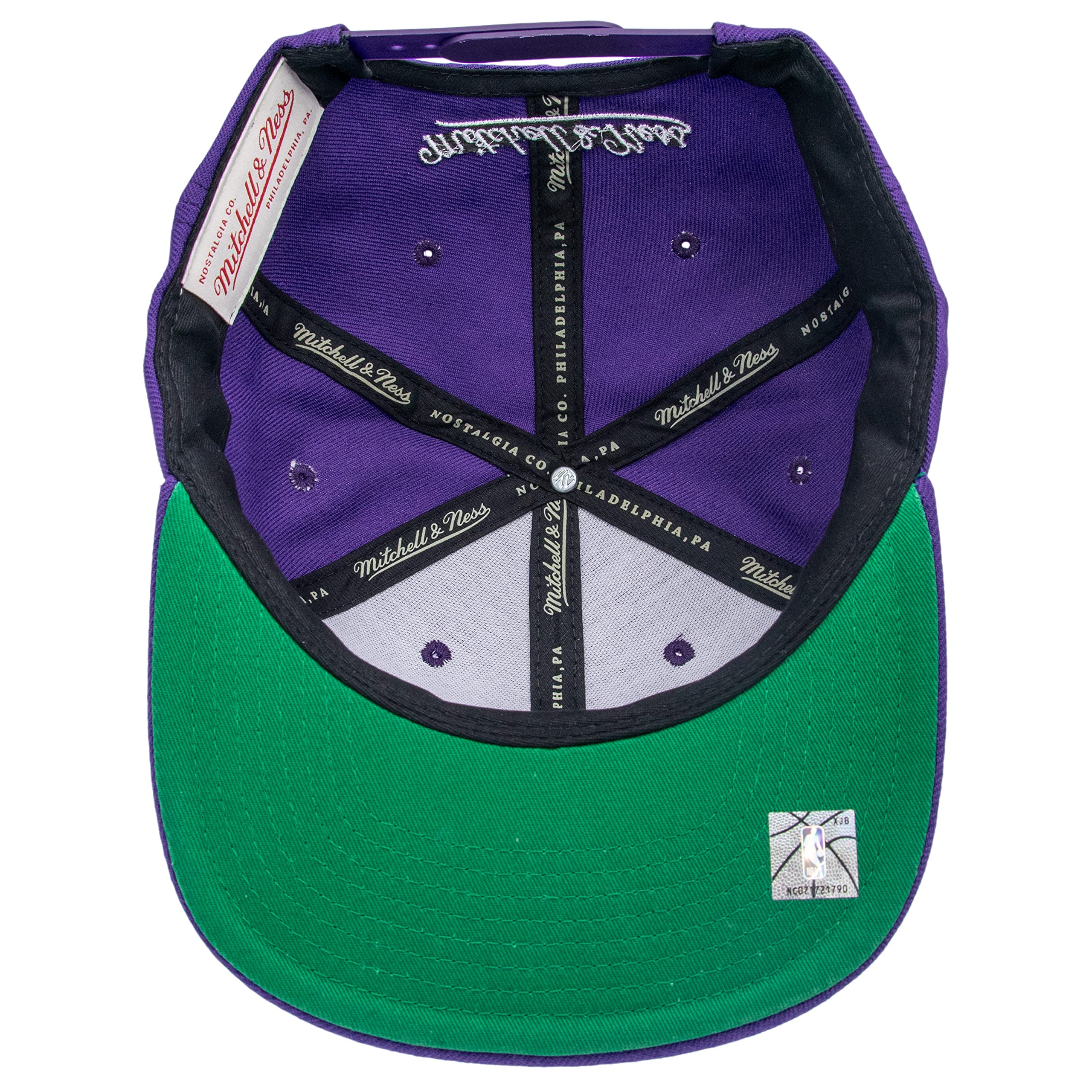Team Ground 20 Snapback Hwc Toronto Raptors