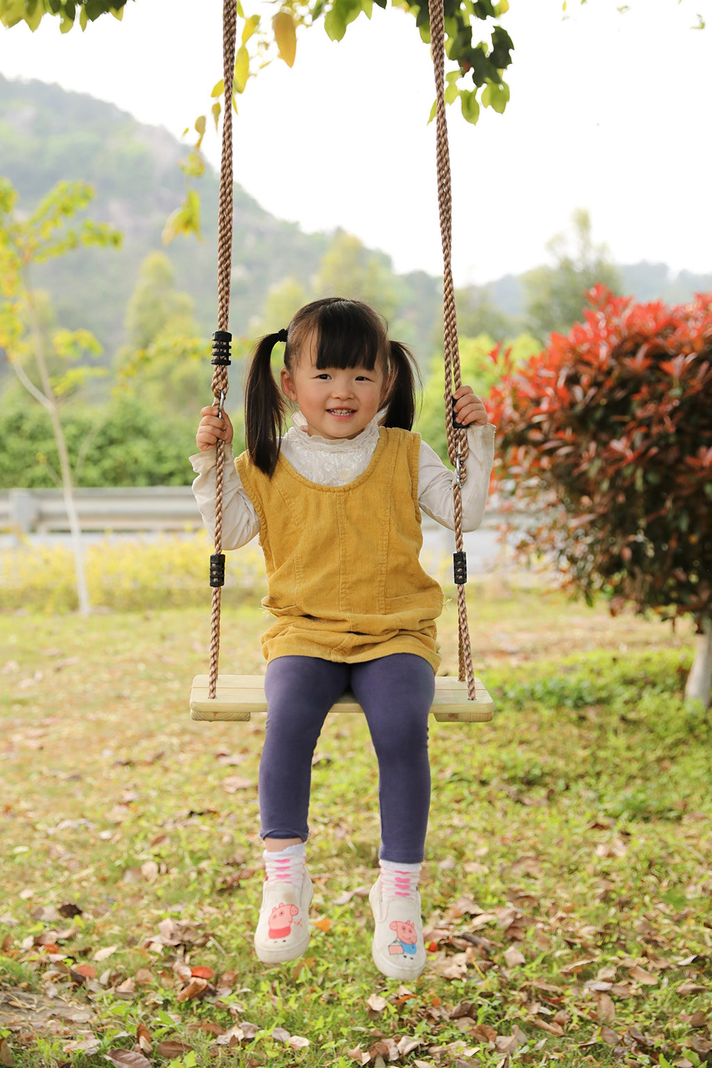 Playberg Outdoor Wooden Tree Swing With Hanging Ropes
