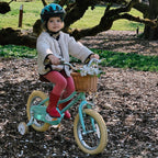 Petimini 16 Inch Little Kids Bike for Age 4 5 6 7 Years Old Girls Retro Vintage Style Bicycles with Basket Training Wheels and B