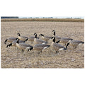 AvianX AXF Lessers Outfitter Pack