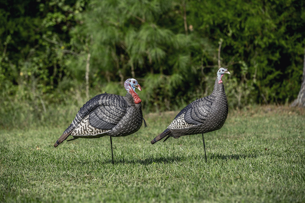 Hunters Specialties Hs Strut Lite Jake & Feeding Hen Turkey Foldable Hollow Relaxed Body Realistic 2-Pack Couple Flock Combo Dec