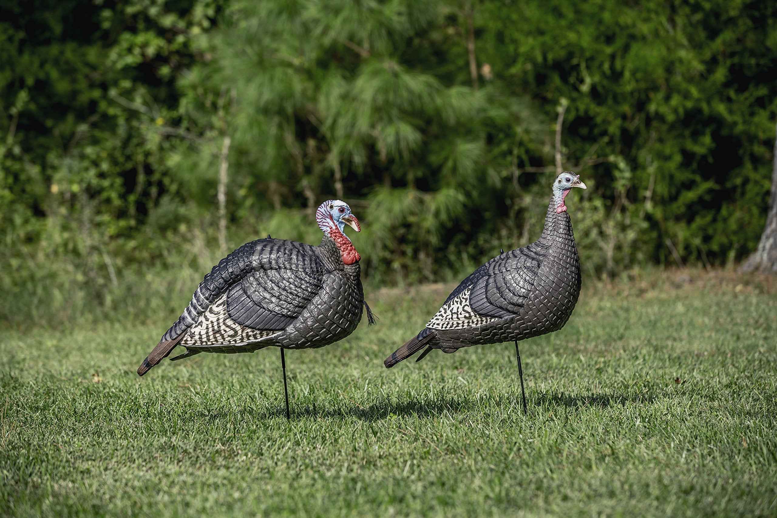 Hunters Specialties Hs Strut Lite Jake & Feeding Hen Turkey Foldable Hollow Relaxed Body Realistic 2-Pack Couple Flock Combo Dec